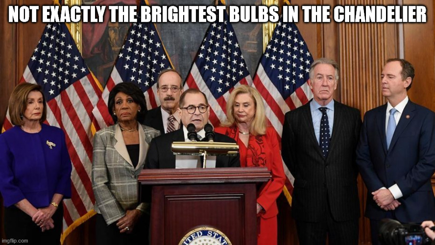 House Democrats | NOT EXACTLY THE BRIGHTEST BULBS IN THE CHANDELIER | image tagged in house democrats | made w/ Imgflip meme maker