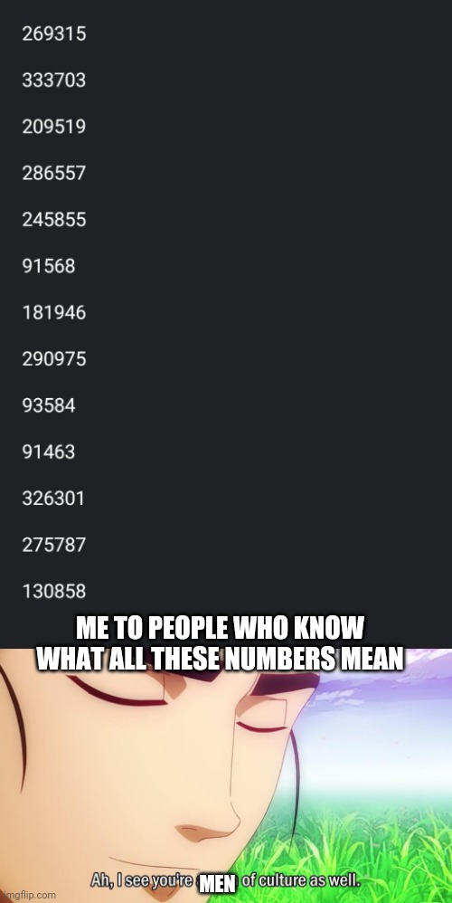 Ha ha hentai number go brrr | ME TO PEOPLE WHO KNOW WHAT ALL THESE NUMBERS MEAN; MEN | image tagged in ah i see you're a man of culture as well | made w/ Imgflip meme maker