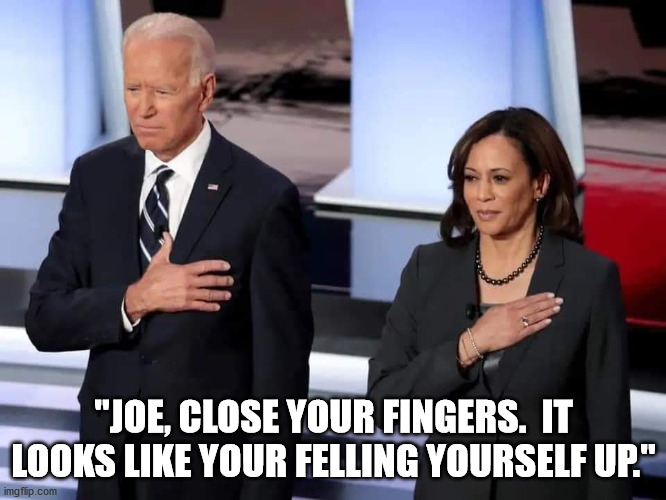 Voter Fraud | "JOE, CLOSE YOUR FINGERS.  IT LOOKS LIKE YOUR FELLING YOURSELF UP." | image tagged in voter fraud | made w/ Imgflip meme maker