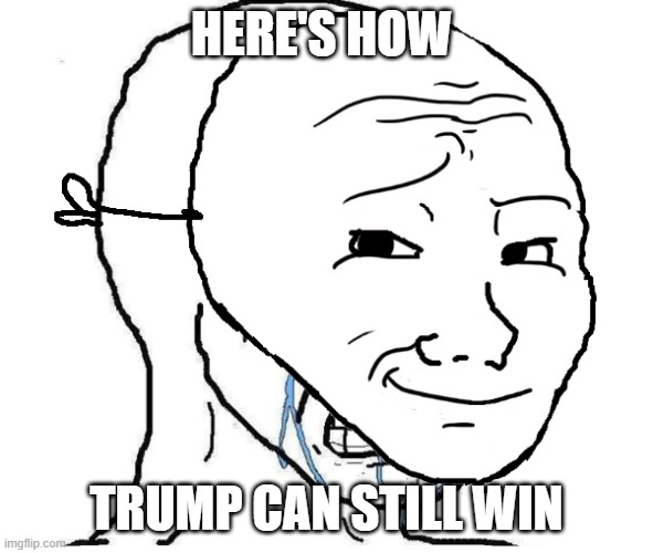Wojak mask | HERE'S HOW TRUMP CAN STILL WIN | image tagged in wojak mask | made w/ Imgflip meme maker