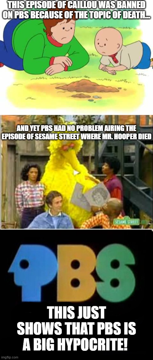Maybe there is something I just don't understand about... | THIS EPISODE OF CAILLOU WAS BANNED ON PBS BECAUSE OF THE TOPIC OF DEATH... AND YET PBS HAD NO PROBLEM AIRING THE EPISODE OF SESAME STREET WHERE MR. HOOPER DIED; THIS JUST SHOWS THAT PBS IS A BIG HYPOCRITE! | image tagged in caillou,memes,sesame street,pbs,pbs kids | made w/ Imgflip meme maker