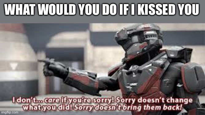 Bow Chicka Bow Wow | WHAT WOULD YOU DO IF I KISSED YOU | image tagged in sorry doesn't change what you did,memes | made w/ Imgflip meme maker