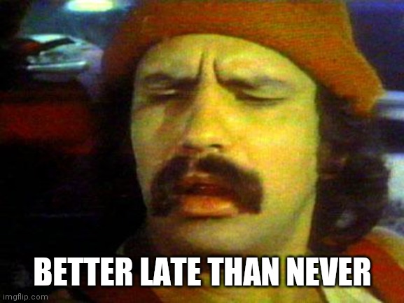 cheech | BETTER LATE THAN NEVER | image tagged in cheech | made w/ Imgflip meme maker