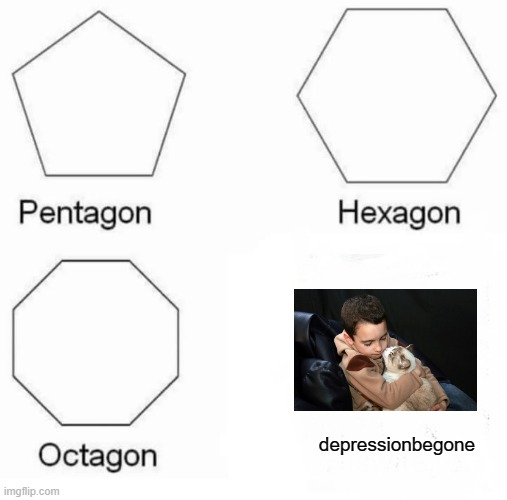 cats cure depression | depressionbegone | image tagged in memes,pentagon hexagon octagon,cats | made w/ Imgflip meme maker