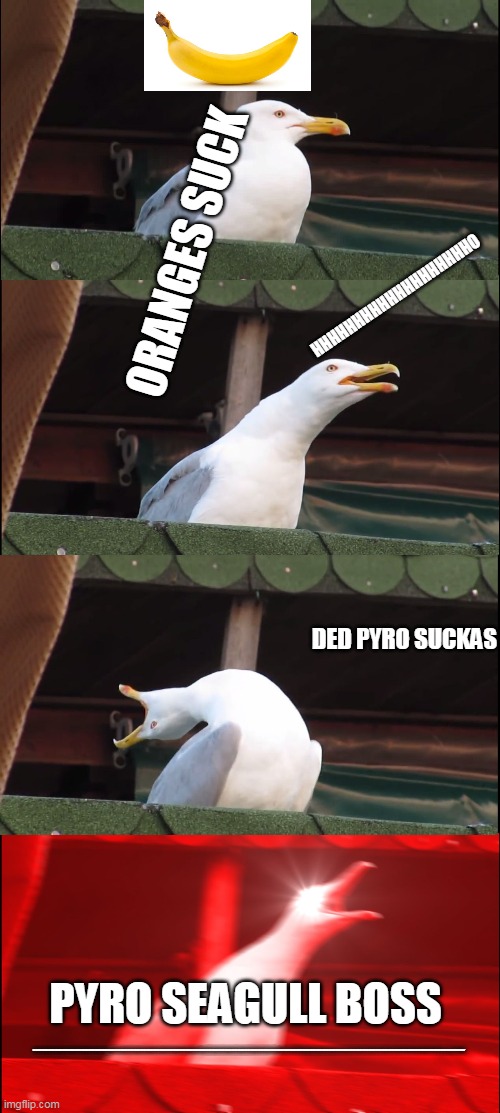 follow-up to another red pyro meme i made | ORANGES SUCK; OHHHHHHHHHHHHHHHHHHH; DED PYRO SUCKAS; PYRO SEAGULL BOSS; 9999999999999999999999999999999999999999999999999999999999999999999999999999999999999999999999999999999999999999999999999999999999999999999999999999999999999999999999999999999999999999999999999999999999999999999999999999999999999999999999999999999999999999999999999999999999999999999999999999999999999999999999999999999999999999999999999999999999999999999999999999999999999999999999999999999999999HP | image tagged in memes,inhaling seagull | made w/ Imgflip meme maker