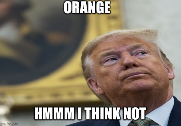Orange man | ORANGE; HMMM I THINK NOT | image tagged in memes | made w/ Imgflip meme maker