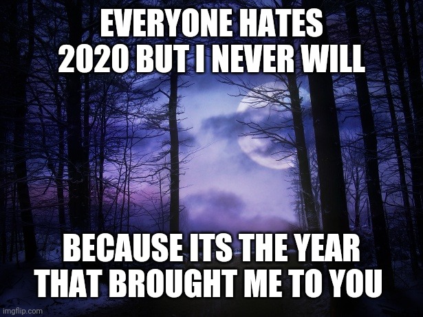 2020 brought me to you | EVERYONE HATES 2020 BUT I NEVER WILL; BECAUSE ITS THE YEAR THAT BROUGHT ME TO YOU | image tagged in love | made w/ Imgflip meme maker