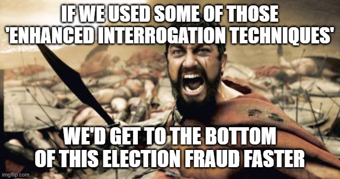 Sparta Leonidas | IF WE USED SOME OF THOSE 'ENHANCED INTERROGATION TECHNIQUES'; WE'D GET TO THE BOTTOM OF THIS ELECTION FRAUD FASTER | image tagged in memes,sparta leonidas | made w/ Imgflip meme maker