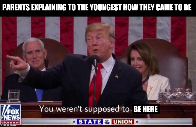 you werent supposed to do that | PARENTS EXPLAINING TO THE YOUNGEST HOW THEY CAME TO BE; BE HERE | image tagged in you werent supposed to do that | made w/ Imgflip meme maker