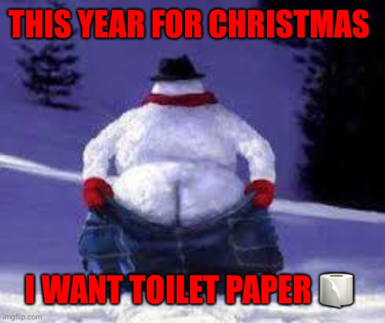 Xmas snowmen mooning | THIS YEAR FOR CHRISTMAS; I WANT TOILET PAPER 🧻 | image tagged in xmas snowmen mooning | made w/ Imgflip meme maker