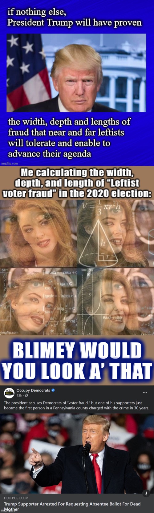 Tl;dr someone should really stop these Leftists from fraudulently voting for Trump | BLIMEY WOULD YOU LOOK A’ THAT | image tagged in trump supporter arrested voter fraud,voter fraud,election 2020,2020 elections,conservative logic,conservative hypocrisy | made w/ Imgflip meme maker