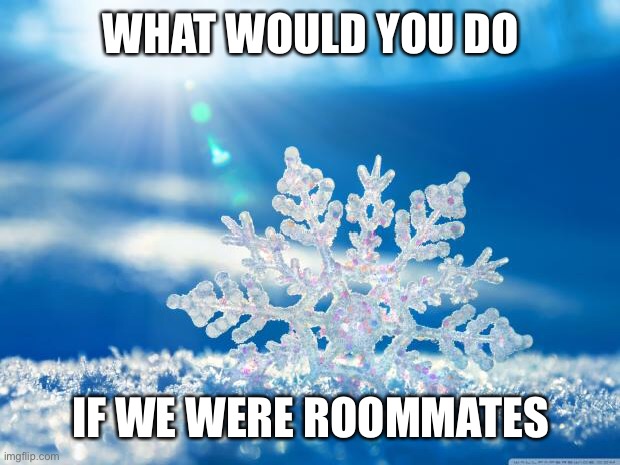 E | WHAT WOULD YOU DO; IF WE WERE ROOMMATES | image tagged in snowflake,reeeeeeeeeeeeeeeeeeeeee | made w/ Imgflip meme maker