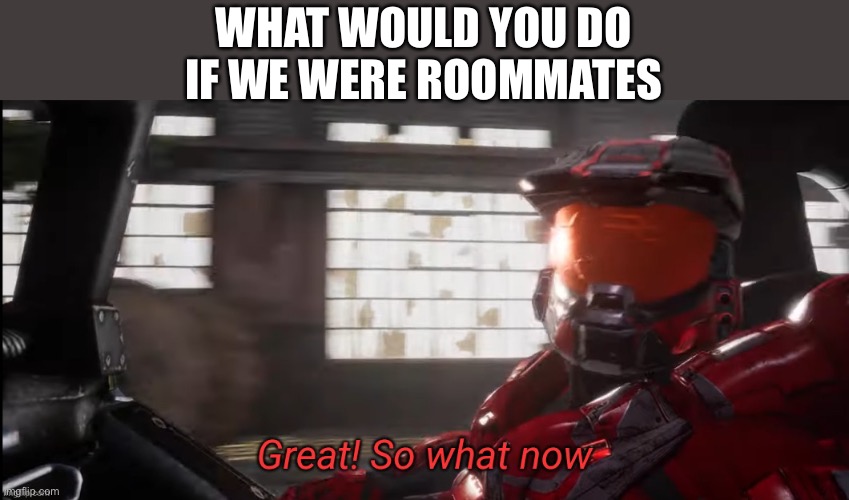 Bow Chicka Bow Wow | WHAT WOULD YOU DO IF WE WERE ROOMMATES | image tagged in great so what now,memes | made w/ Imgflip meme maker
