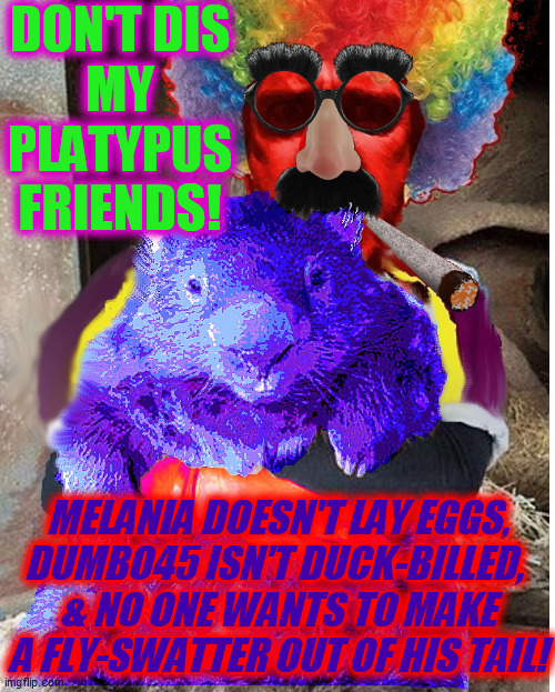 DON'T DIS
MY
PLATYPUS
FRIENDS! MELANIA DOESN'T LAY EGGS,
DUMBO45 ISN'T DUCK-BILLED, 
& NO ONE WANTS TO MAKE A FLY-SWATTER OUT OF HIS TAIL! | made w/ Imgflip meme maker