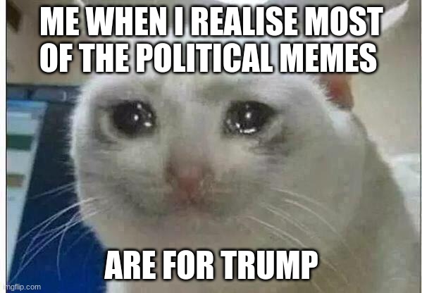 crying cat | ME WHEN I REALISE MOST OF THE POLITICAL MEMES; ARE FOR TRUMP | image tagged in crying cat | made w/ Imgflip meme maker