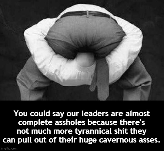 You could say our leaders are almost... | You could say our leaders are almost
complete assholes because there's
not much more tyrannical shit they
can pull out of their huge cavernous asses. | image tagged in head up ass,asshole,leaders,tyranny,scamdemic,resist authority | made w/ Imgflip meme maker