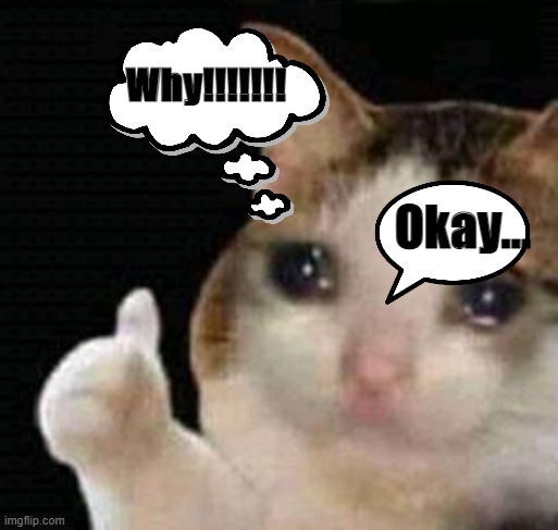 sad thumbs up cat | Okay... Why!!!!!!! | image tagged in sad thumbs up cat | made w/ Imgflip meme maker