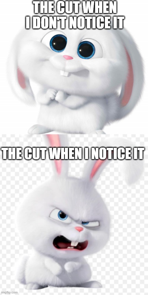 The Cut + new templet | THE CUT WHEN I DON'T NOTICE IT; THE CUT WHEN I NOTICE IT | image tagged in snowball,notice,before and after | made w/ Imgflip meme maker