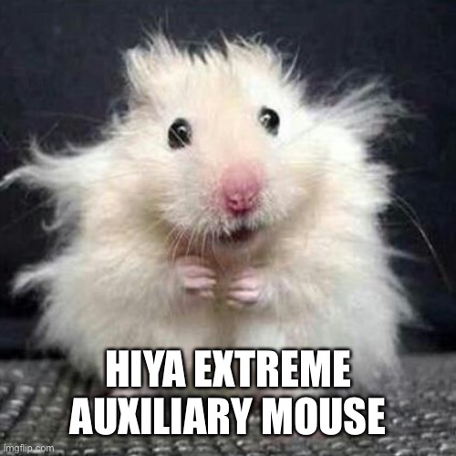 Stressed Mouse | HIYA EXTREME AUXILIARY MOUSE | image tagged in stressed mouse | made w/ Imgflip meme maker