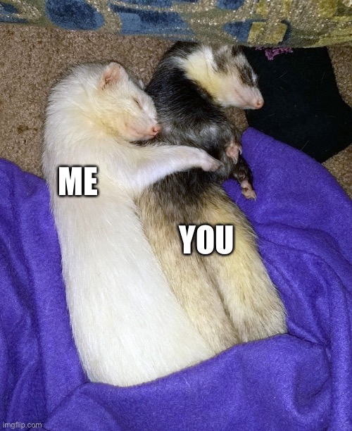 Send to the special one :) | YOU; ME | made w/ Imgflip meme maker