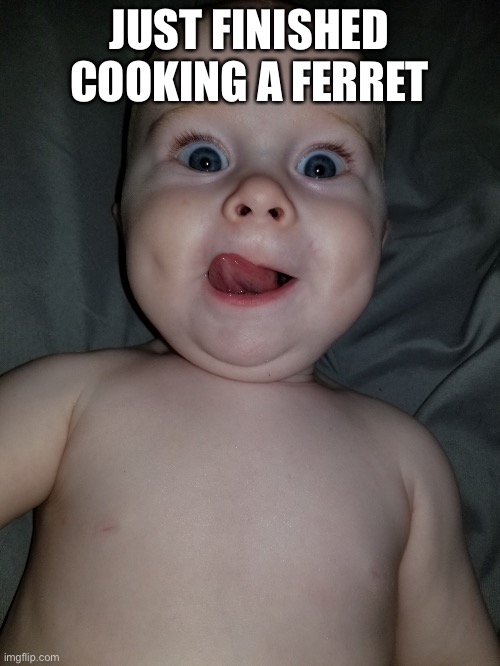 All jokes | JUST FINISHED COOKING A FERRET | image tagged in funny baby yummy | made w/ Imgflip meme maker