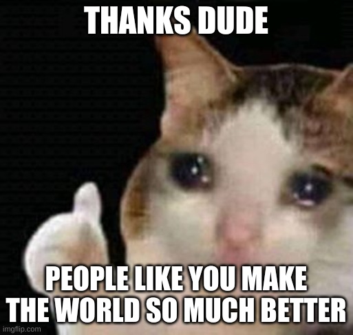 sad thumbs up cat | THANKS DUDE PEOPLE LIKE YOU MAKE THE WORLD SO MUCH BETTER | image tagged in sad thumbs up cat | made w/ Imgflip meme maker