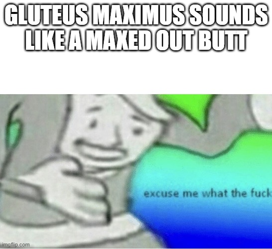 maxed out | GLUTEUS MAXIMUS SOUNDS LIKE A MAXED OUT BUTT | image tagged in excuse me wtf blank template | made w/ Imgflip meme maker