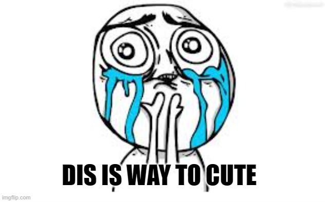 Crying Because Of Cute Meme | DIS IS WAY TO CUTE | image tagged in memes,crying because of cute | made w/ Imgflip meme maker