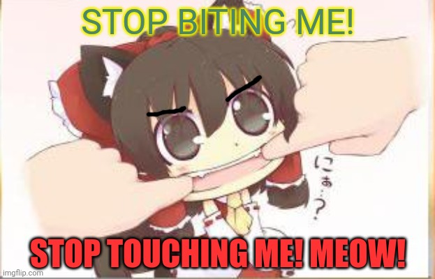 Angry neko! | STOP BITING ME! STOP TOUCHING ME! MEOW! | image tagged in angry,neko,anime girl,cat,bite | made w/ Imgflip meme maker