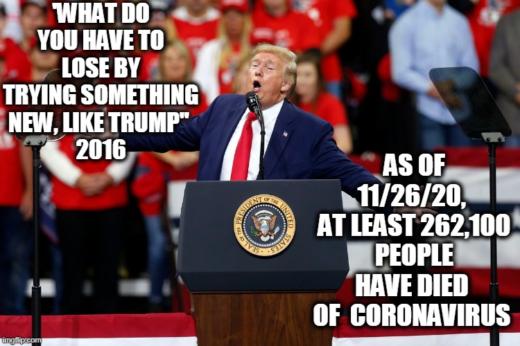 Trump | 'WHAT DO YOU HAVE TO LOSE BY TRYING SOMETHING NEW, LIKE TRUMP'' 
2016; AS OF 11/26/20, 
AT LEAST 262,100 PEOPLE HAVE DIED 
OF  CORONAVIRUS | image tagged in donald trump | made w/ Imgflip meme maker