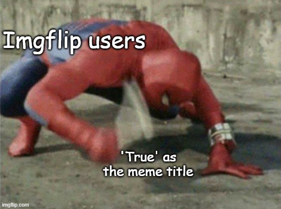 True | Imgflip users; 'True' as the meme title | image tagged in spiderman wrench | made w/ Imgflip meme maker