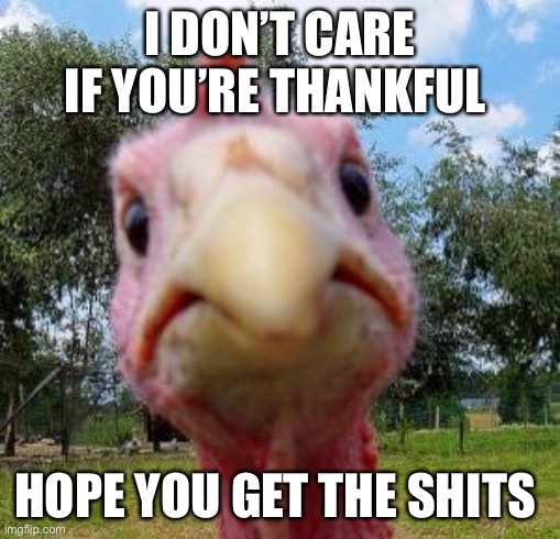 Thanksgiving 2020 | I DON’T CARE IF YOU’RE THANKFUL; HOPE YOU GET THE SHITS | image tagged in turkey,thanksgiving,shit | made w/ Imgflip meme maker