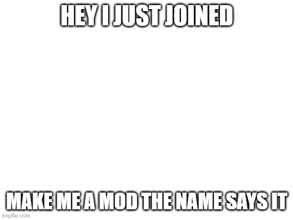 make me a mod | HEY I JUST JOINED; MAKE ME A MOD THE NAME SAYS IT | image tagged in blank white template | made w/ Imgflip meme maker