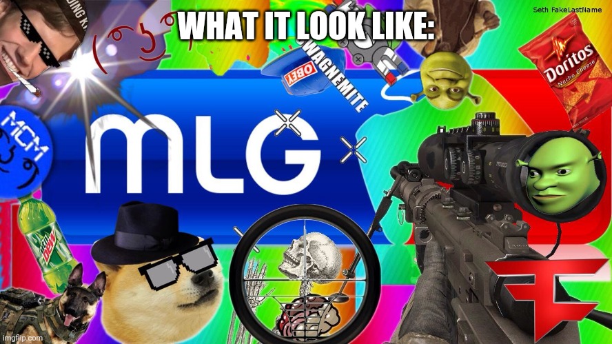 mlg | WHAT IT LOOK LIKE: | image tagged in mlg | made w/ Imgflip meme maker