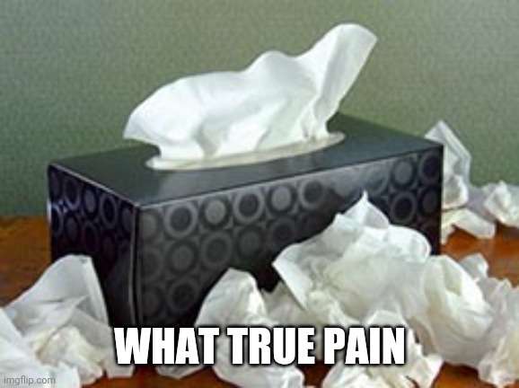 Tissue Box | WHAT TRUE PAIN | image tagged in tissue box | made w/ Imgflip meme maker