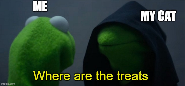 My cat always wants treats... |  ME; MY CAT; Where are the treats | image tagged in memes,evil kermit,cat,treats,hungry cat | made w/ Imgflip meme maker