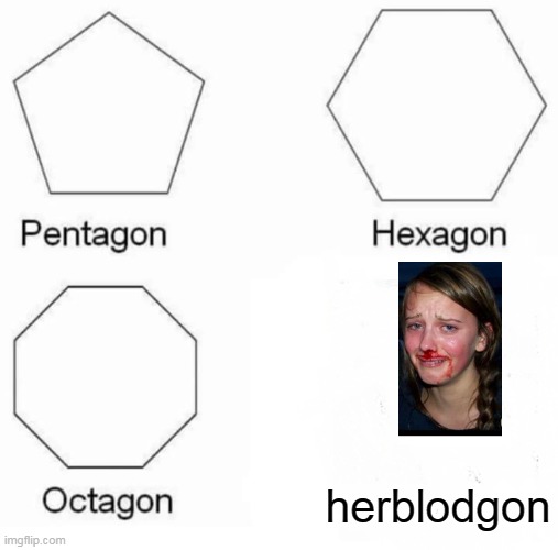 Pentagon Hexagon Octagon | herblodgon | image tagged in memes,pentagon hexagon octagon | made w/ Imgflip meme maker