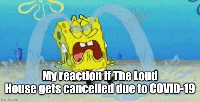 cryin | My reaction if The Loud House gets cancelled due to COVID-19 | image tagged in memes,the loud house,coronavirus,covid-19 | made w/ Imgflip meme maker