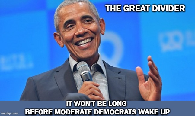 Obama | THE GREAT DIVIDER; IT WON'T BE LONG 
BEFORE MODERATE DEMOCRATS WAKE UP | image tagged in obama | made w/ Imgflip meme maker