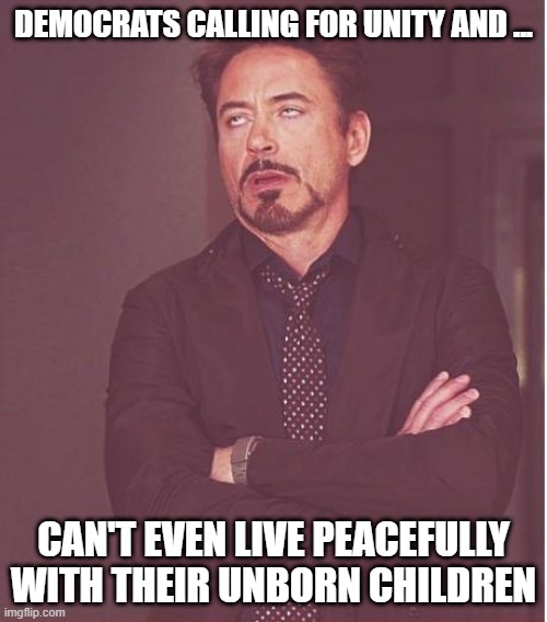 Face You Make Robert Downey Jr | DEMOCRATS CALLING FOR UNITY AND ... CAN'T EVEN LIVE PEACEFULLY WITH THEIR UNBORN CHILDREN | image tagged in memes,face you make robert downey jr | made w/ Imgflip meme maker