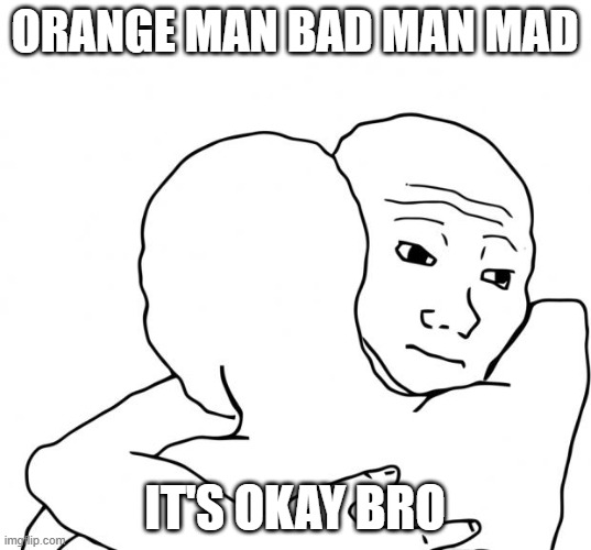 Orange Man Bad!! | ORANGE MAN BAD MAN MAD; IT'S OKAY BRO | image tagged in memes,i know that feel bro,orange man bad,maga,trump,donald trump | made w/ Imgflip meme maker