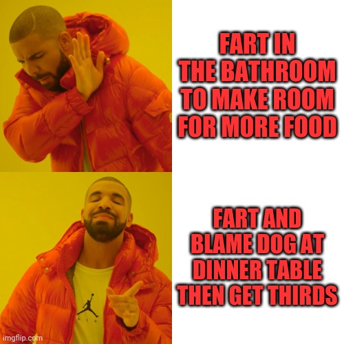 Drake Hotline Bling | FART IN THE BATHROOM TO MAKE ROOM FOR MORE FOOD; FART AND BLAME DOG AT DINNER TABLE THEN GET THIRDS | image tagged in memes,drake hotline bling | made w/ Imgflip meme maker