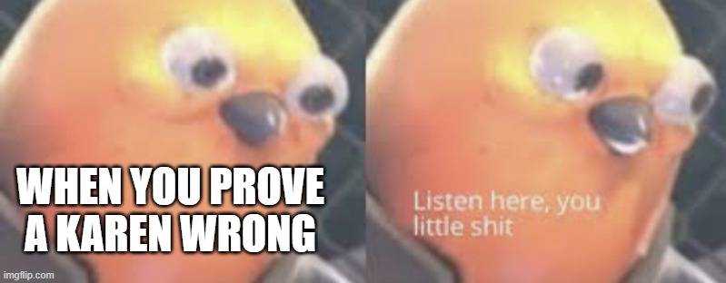 karen | WHEN YOU PROVE A KAREN WRONG | image tagged in listen here you little shit bird | made w/ Imgflip meme maker