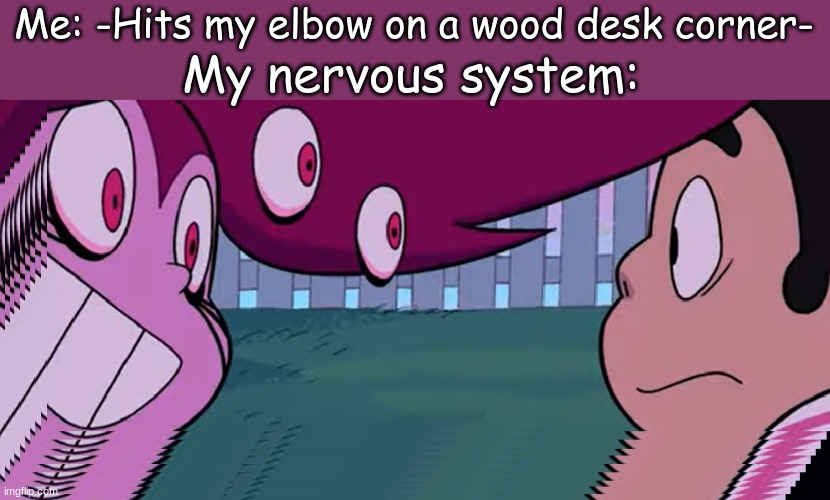 software gore spinel | Me: -Hits my elbow on a wood desk corner-; My nervous system: | image tagged in software gore spinel | made w/ Imgflip meme maker