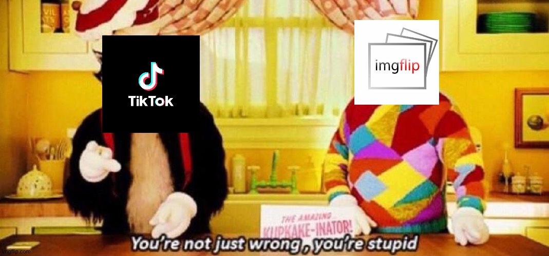 I agree | image tagged in you're not just wrong you're stupid,cat in the hat movie,imglflip better than tiktok,lzx1166 was here,no body read this | made w/ Imgflip meme maker