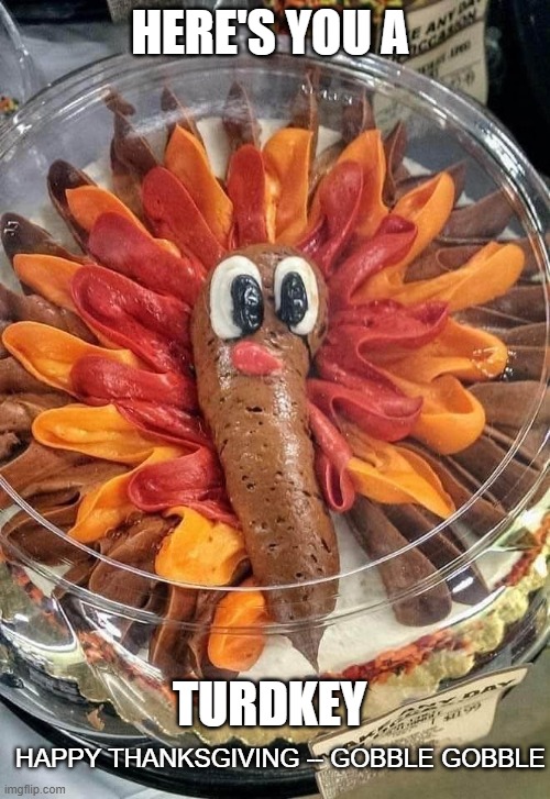 Happy Thanksgiving 2 You | HERE'S YOU A; TURDKEY; HAPPY THANKSGIVING -- GOBBLE GOBBLE | image tagged in happy thanksgiving,turkey day,poop,the cake is a lie | made w/ Imgflip meme maker