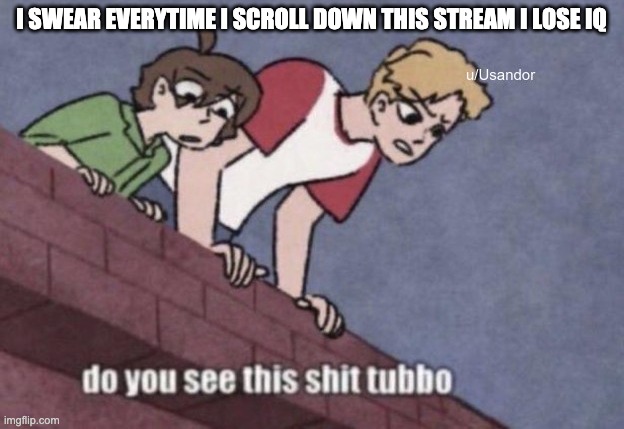 Do you see this shit Tubbo | I SWEAR EVERYTIME I SCROLL DOWN THIS STREAM I LOSE IQ | image tagged in do you see this shit tubbo | made w/ Imgflip meme maker