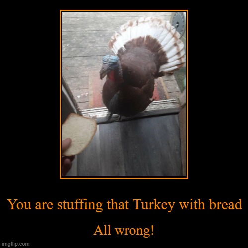 HAPPY THANKSGIVING! | image tagged in funny,demotivationals,turkey,stuffing,bread,wrong | made w/ Imgflip demotivational maker
