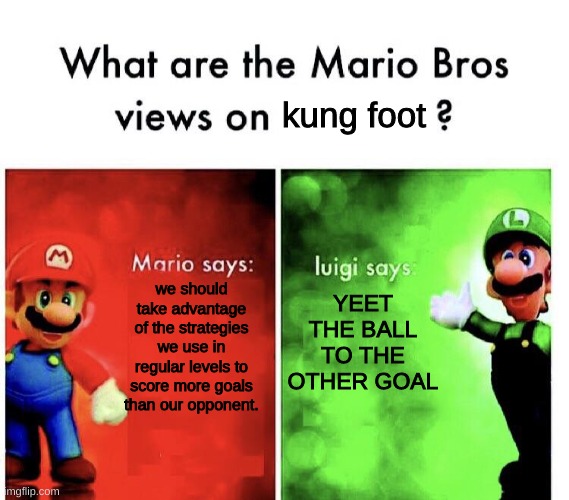 kung foot of ducc | kung foot; YEET THE BALL TO THE OTHER GOAL; we should take advantage of the strategies we use in regular levels to score more goals than our opponent. | image tagged in what are the mario bros views on | made w/ Imgflip meme maker