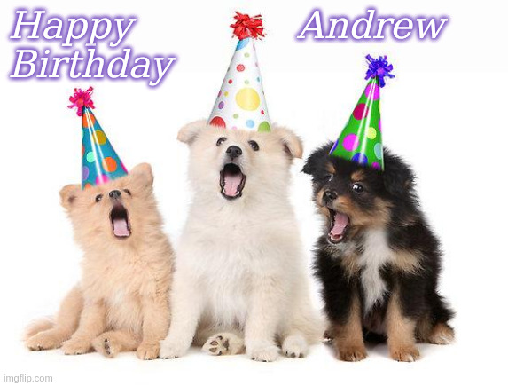 Happy Birthday Andrew | Happy              Andrew
Birthday | image tagged in happy birthday puppies,happy birthday,memes | made w/ Imgflip meme maker